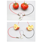 Kit de Experimento de Bioenergía para Niños - Image 2