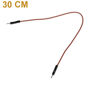 Cable Puente Macho-Macho 30cm por Unidad