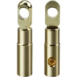 Par de Terminales de Argolla No. 8 con Tornillo