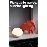 Amazon Echo Glow Luz Nocturna para Niños, Compatible con Alexa - Image 5